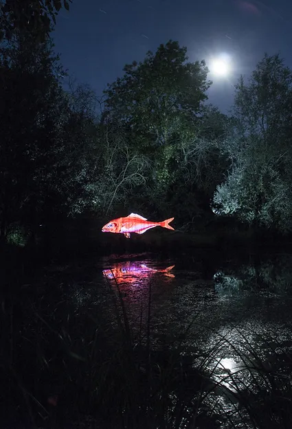 light painting